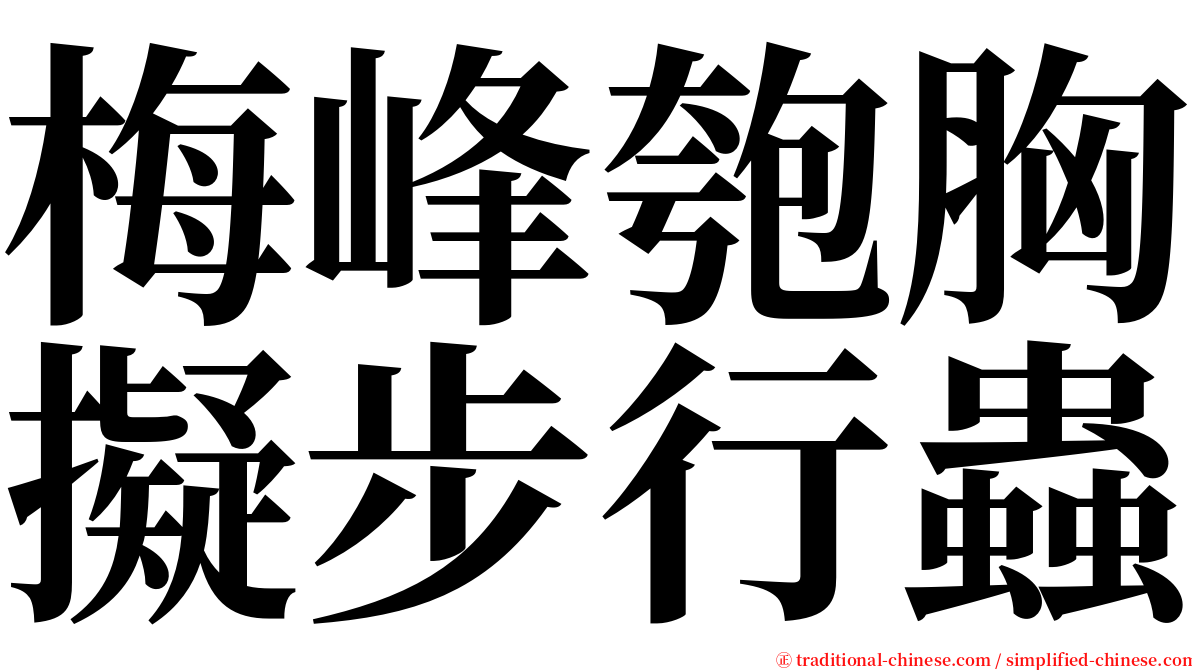 梅峰匏胸擬步行蟲 serif font