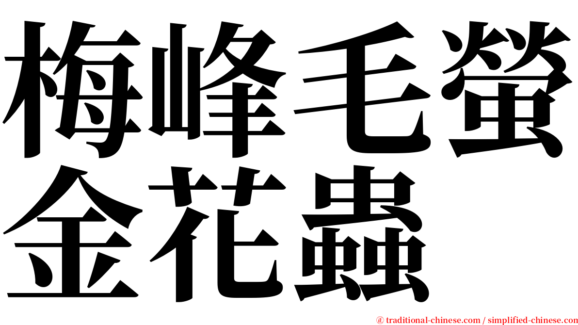 梅峰毛螢金花蟲 serif font