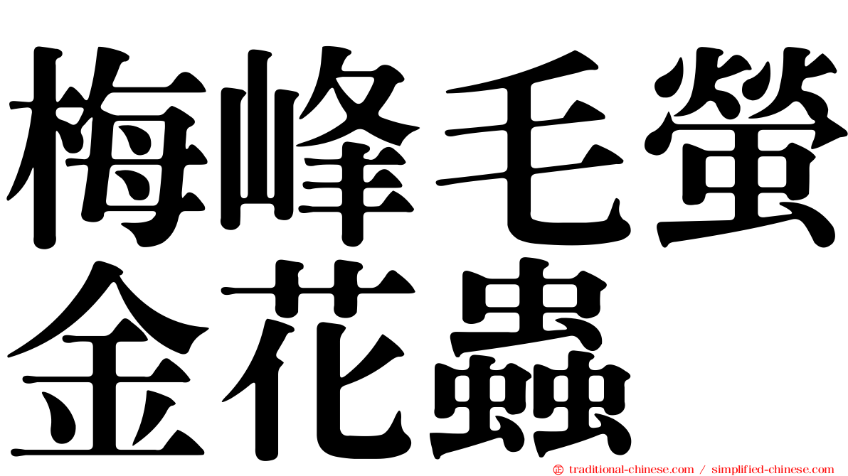 梅峰毛螢金花蟲