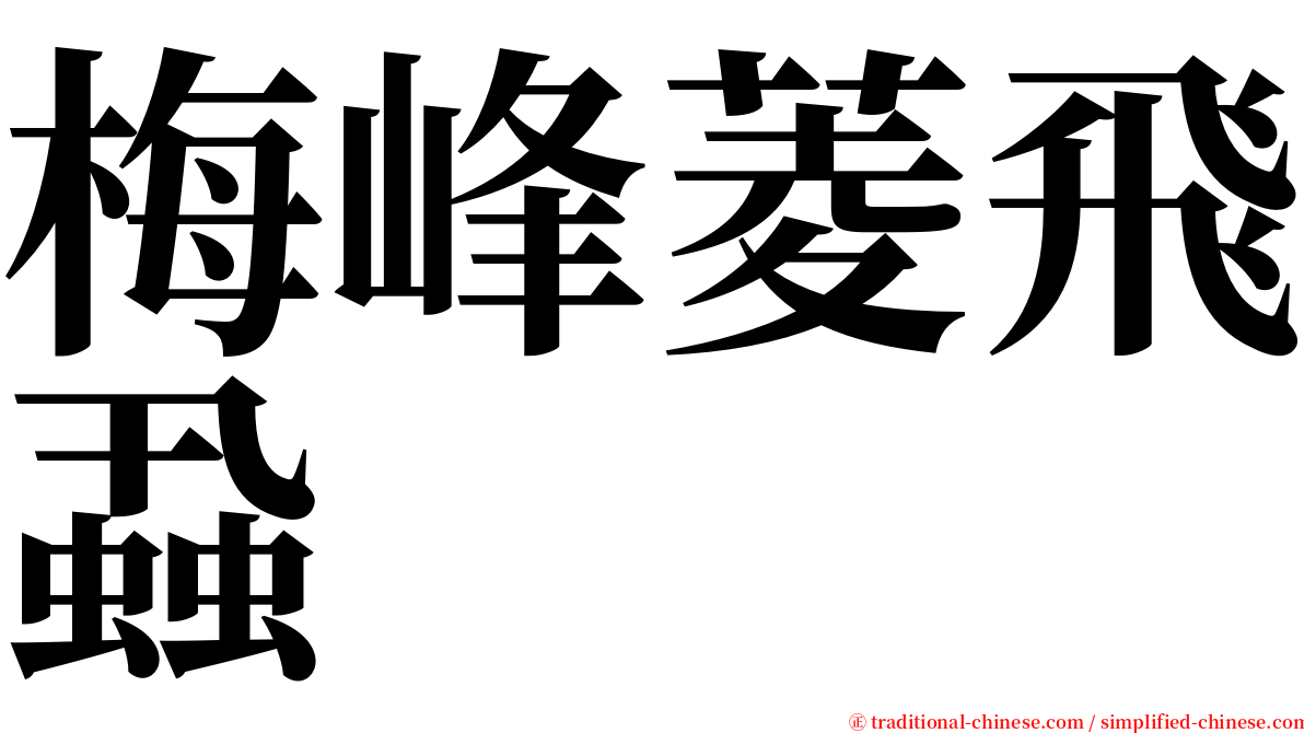 梅峰菱飛蝨 serif font