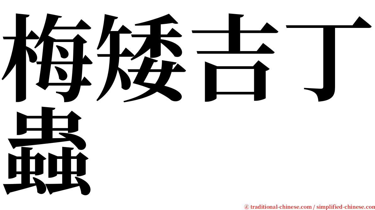 梅矮吉丁蟲 serif font