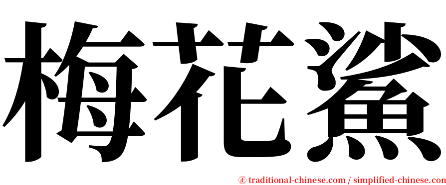 梅花鯊 serif font