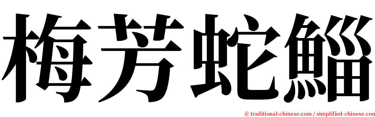 梅芳蛇鯔 serif font