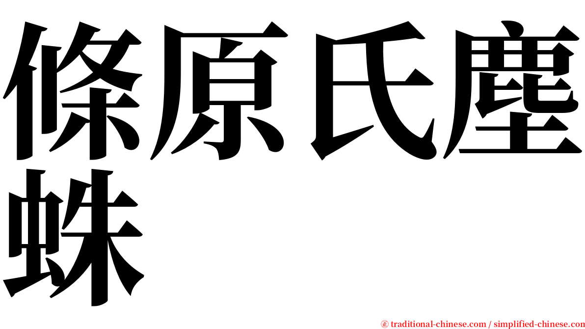 條原氏塵蛛 serif font