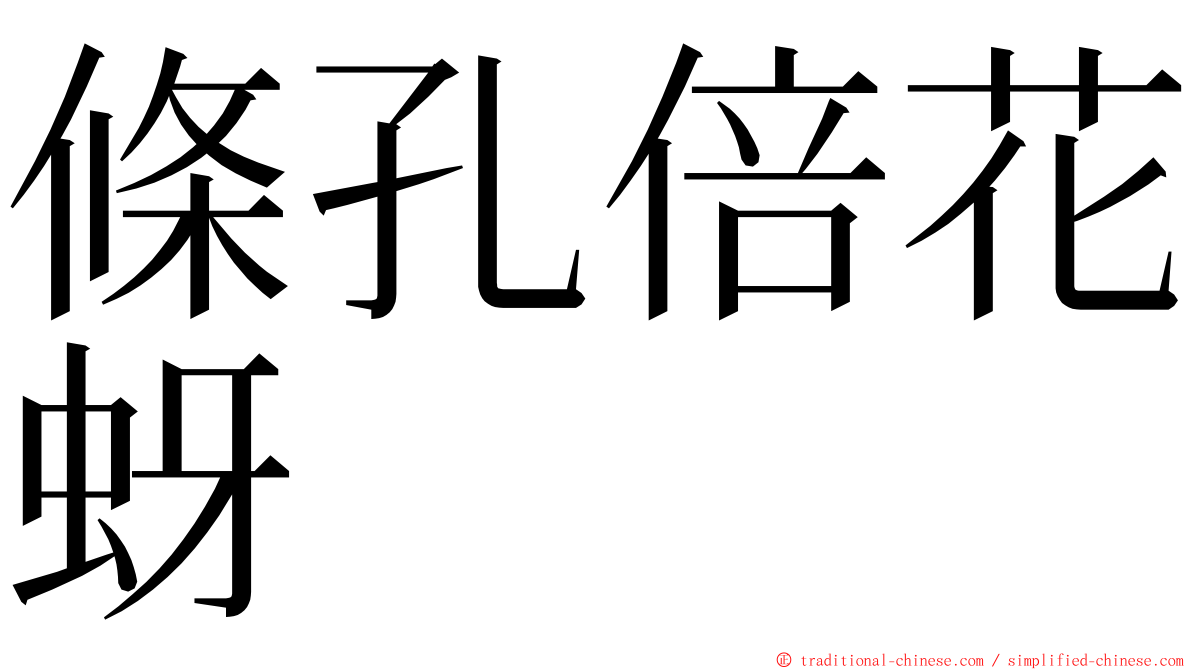 條孔倍花蚜 ming font