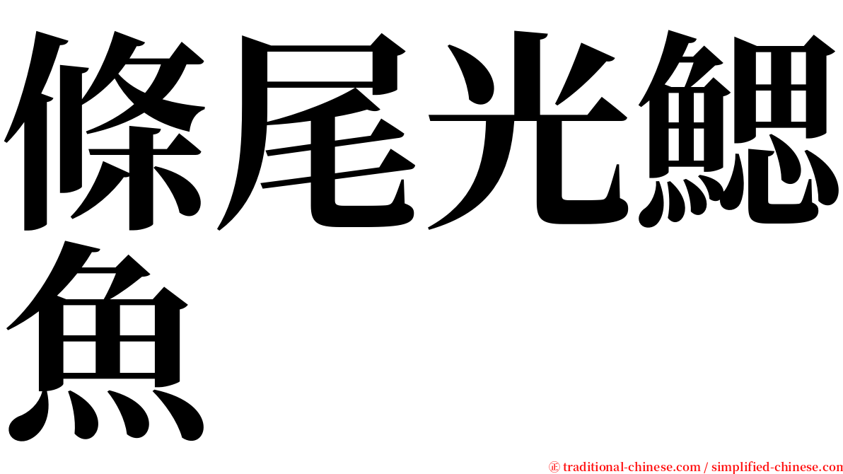 條尾光鰓魚 serif font