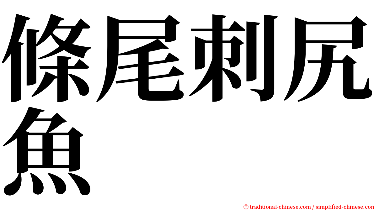 條尾刺尻魚 serif font