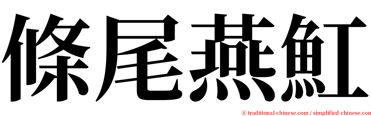 條尾燕魟 serif font