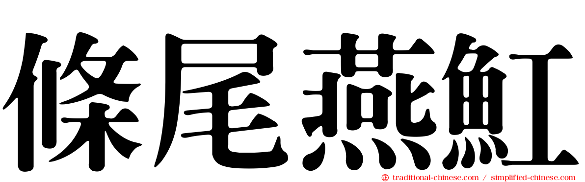 條尾燕魟