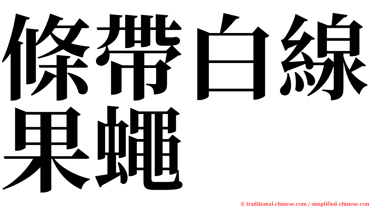 條帶白線果蠅 serif font