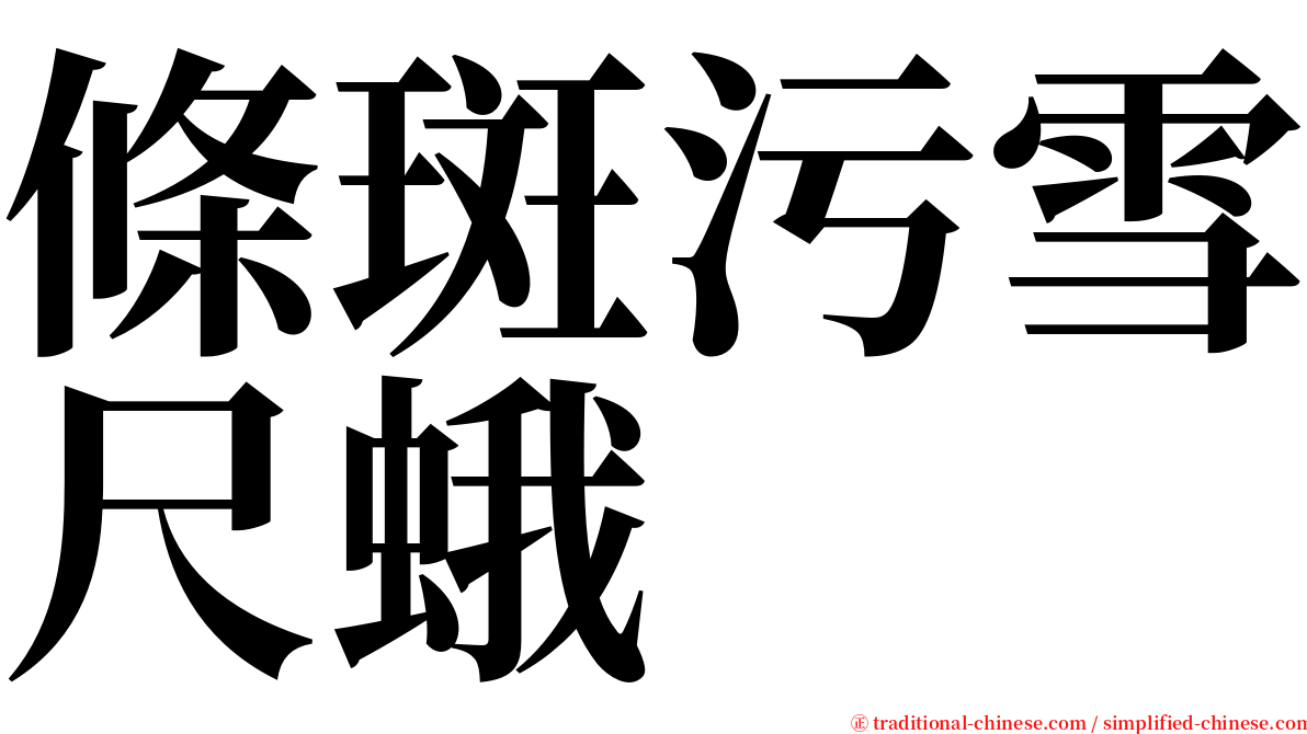 條斑污雪尺蛾 serif font