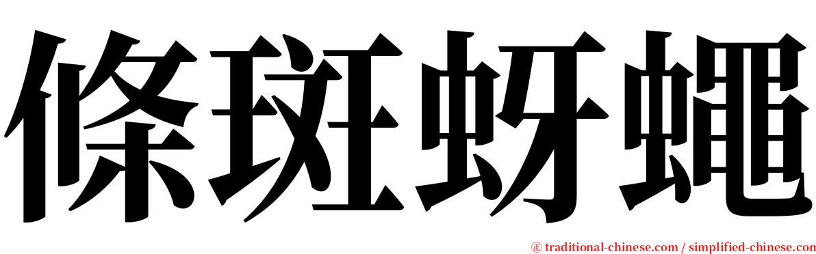 條斑蚜蠅 serif font