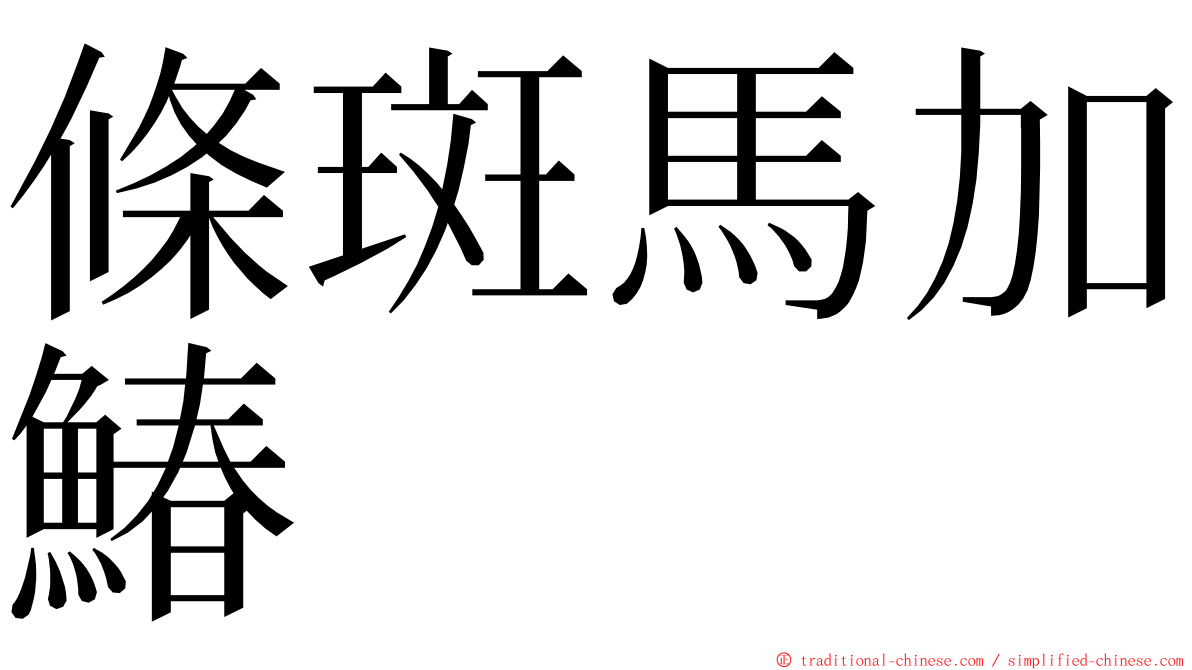 條斑馬加鰆 ming font