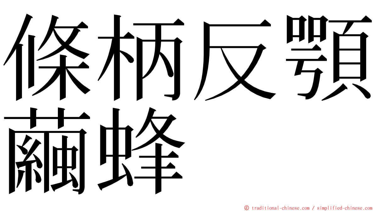 條柄反顎繭蜂 ming font