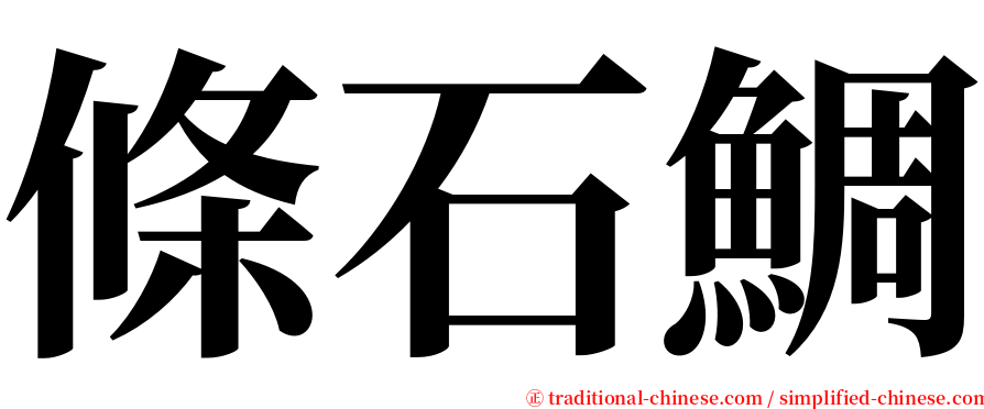 條石鯛 serif font