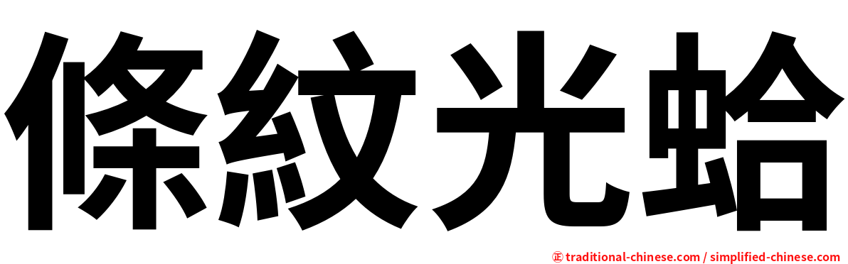 條紋光蛤