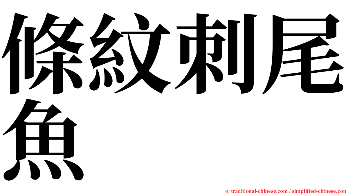 條紋刺尾魚 serif font