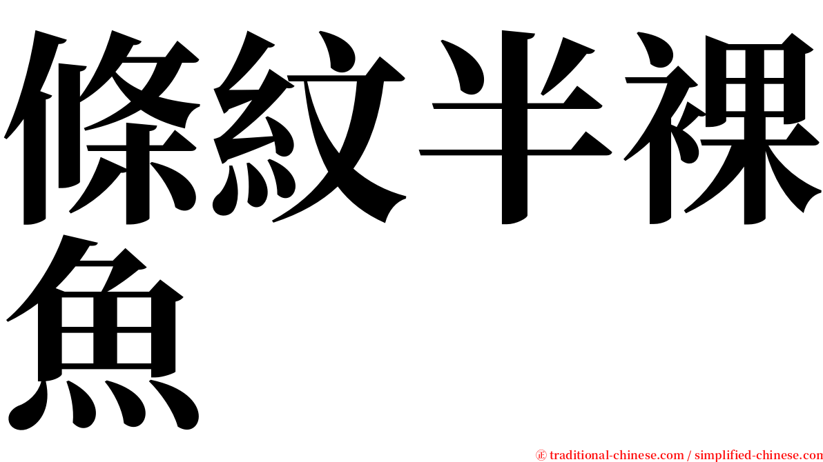 條紋半裸魚 serif font