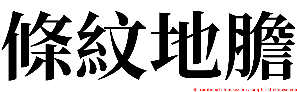 條紋地膽 serif font