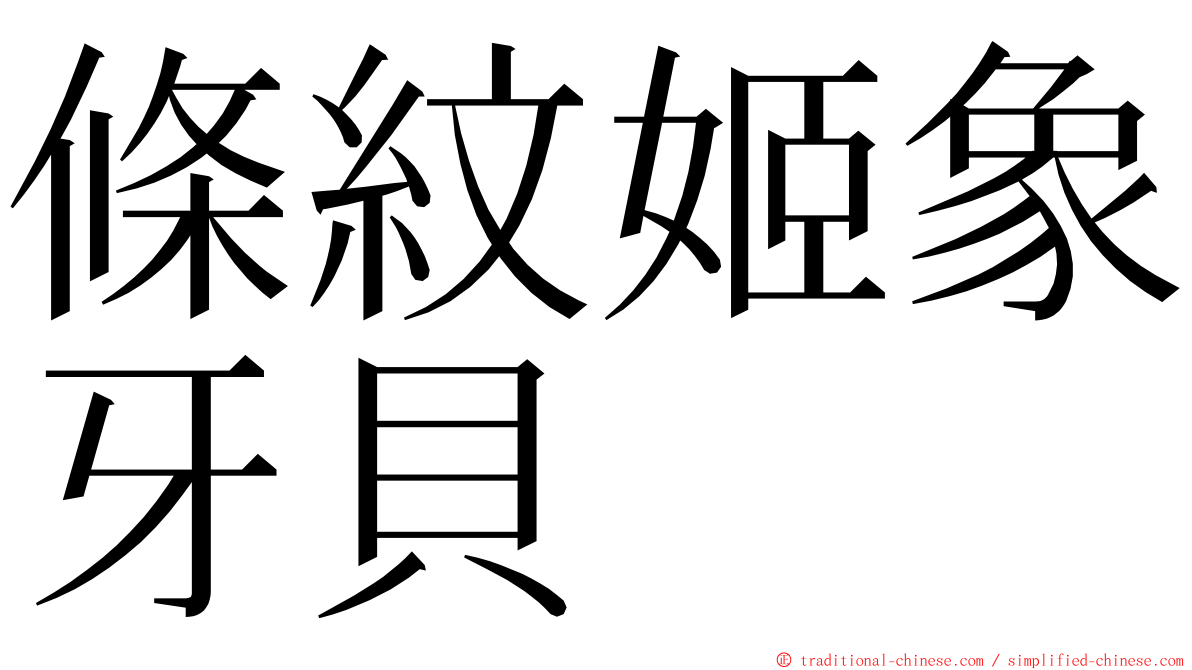 條紋姬象牙貝 ming font