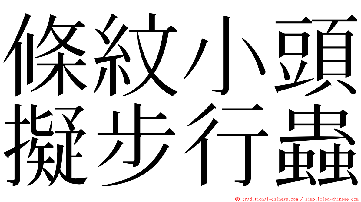 條紋小頭擬步行蟲 ming font