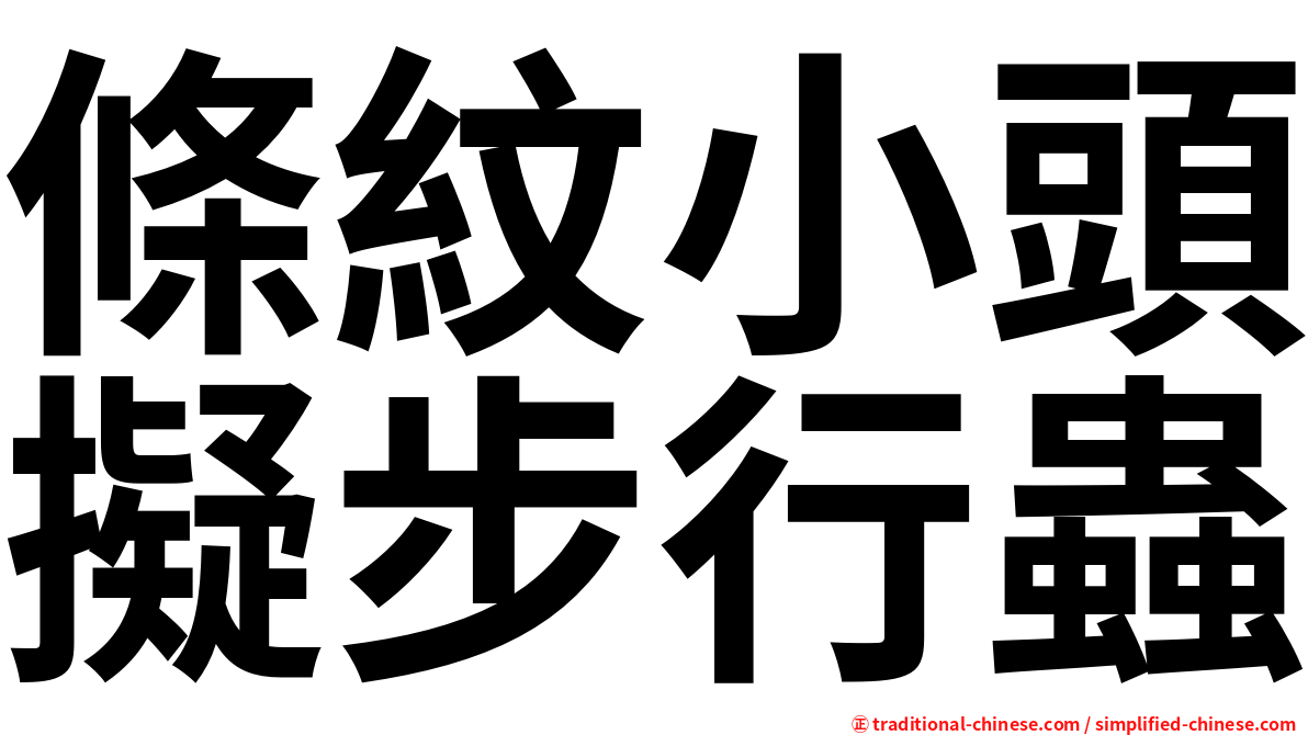 條紋小頭擬步行蟲