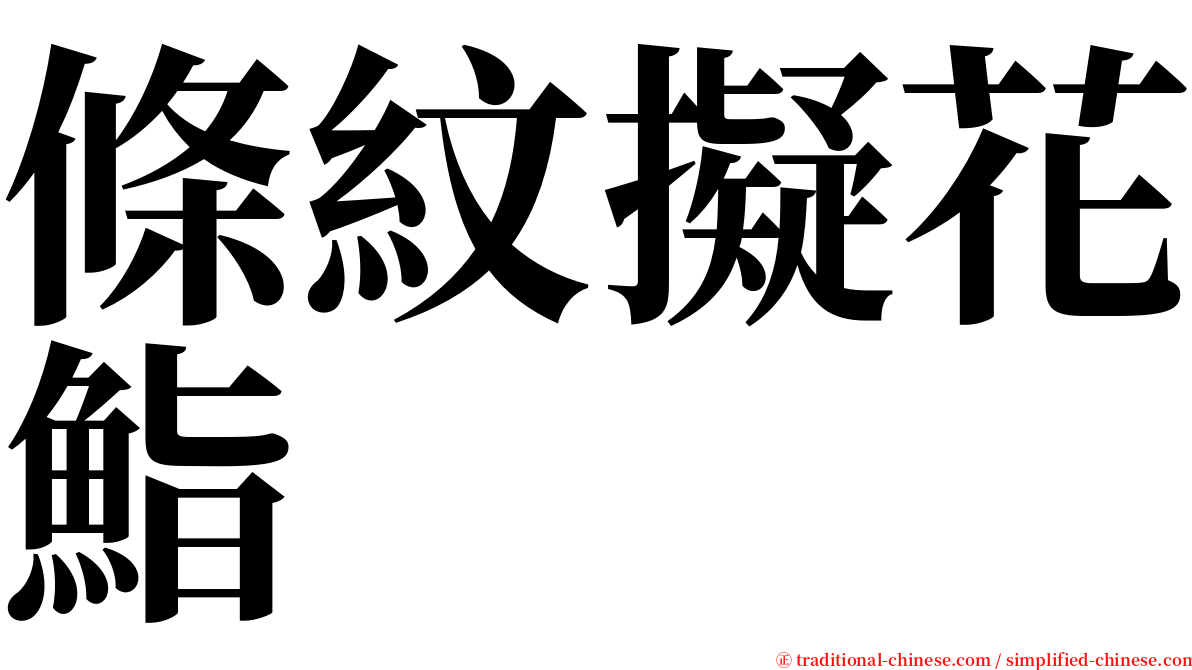 條紋擬花鮨 serif font