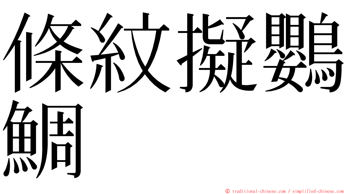 條紋擬鸚鯛 ming font