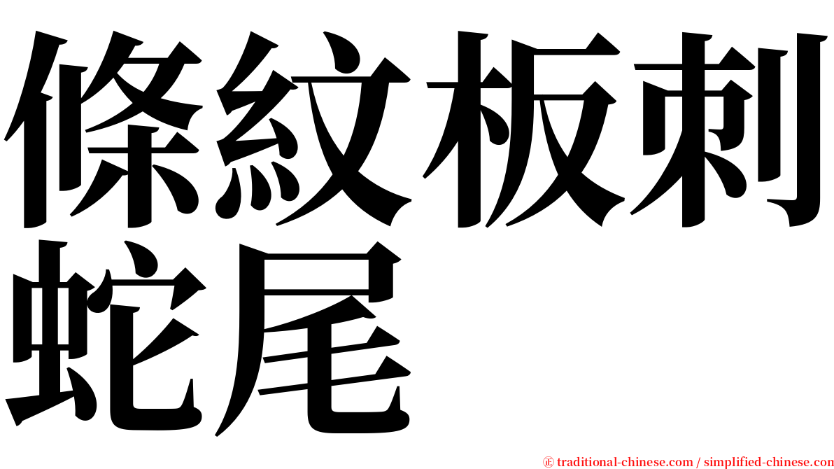 條紋板刺蛇尾 serif font