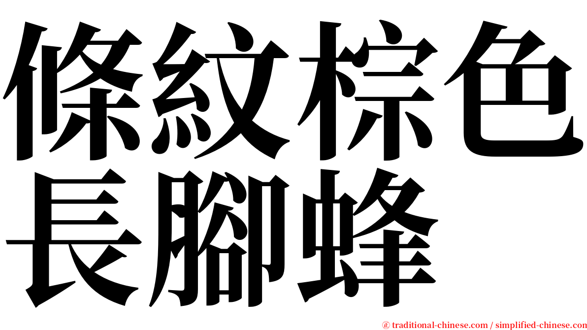 條紋棕色長腳蜂 serif font