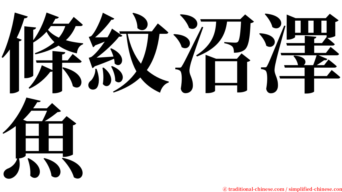 條紋沼澤魚 serif font