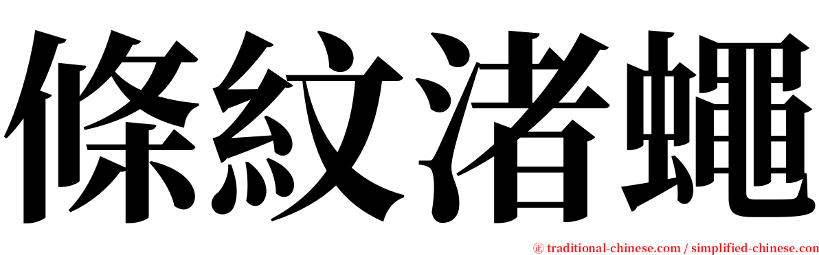 條紋渚蠅 serif font