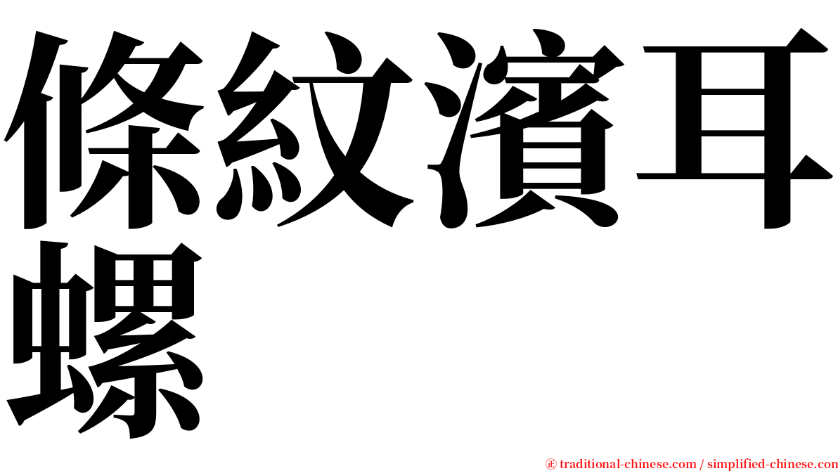 條紋濱耳螺 serif font