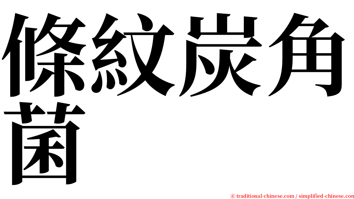 條紋炭角菌 serif font