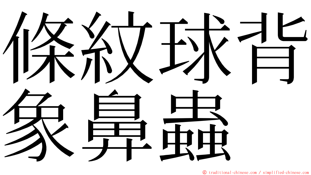 條紋球背象鼻蟲 ming font