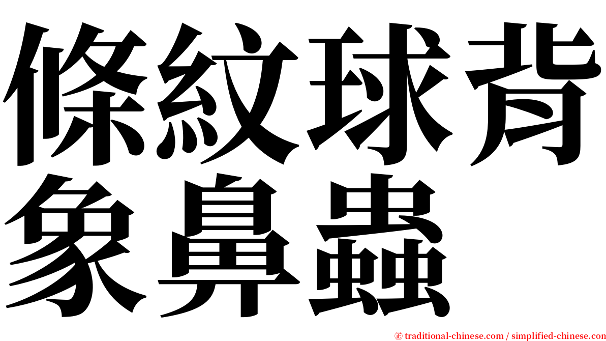 條紋球背象鼻蟲 serif font