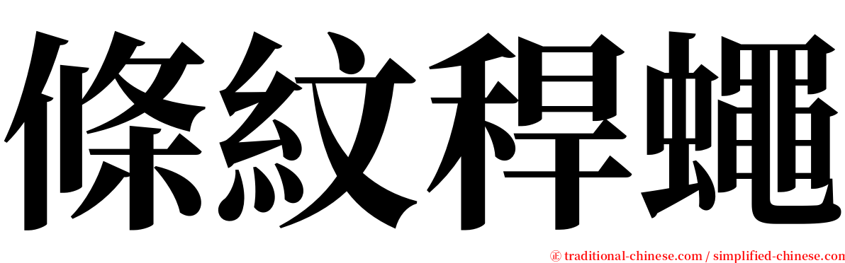 條紋稈蠅 serif font