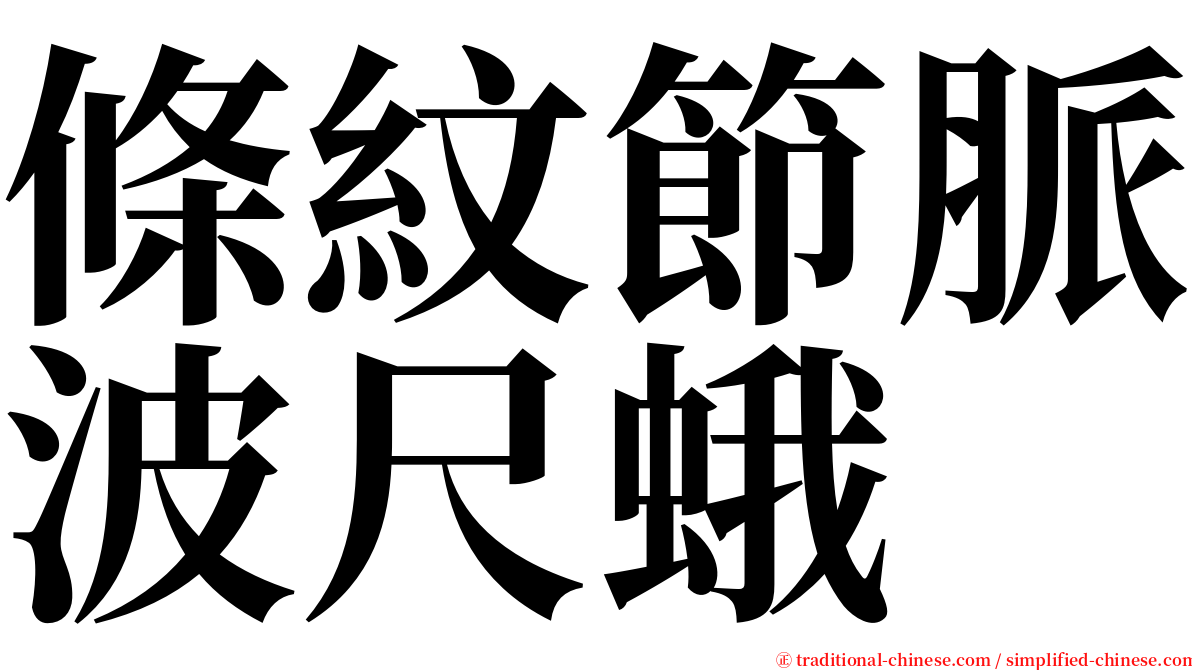 條紋節脈波尺蛾 serif font