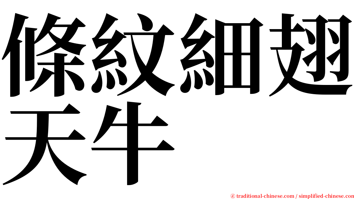 條紋細翅天牛 serif font