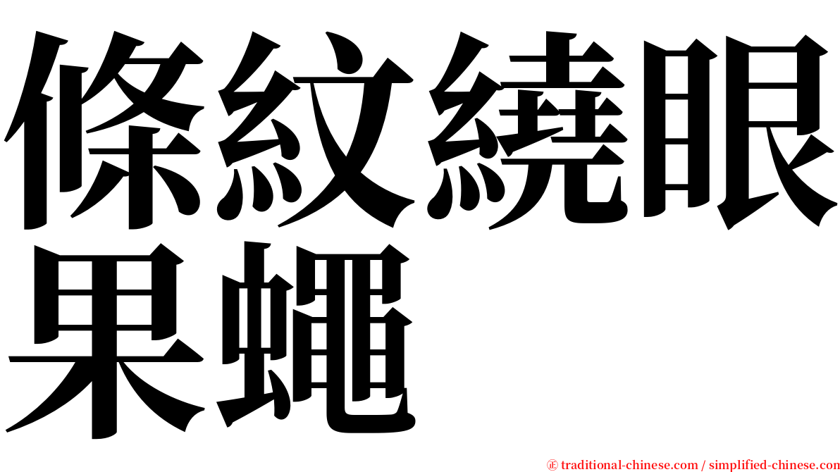 條紋繞眼果蠅 serif font