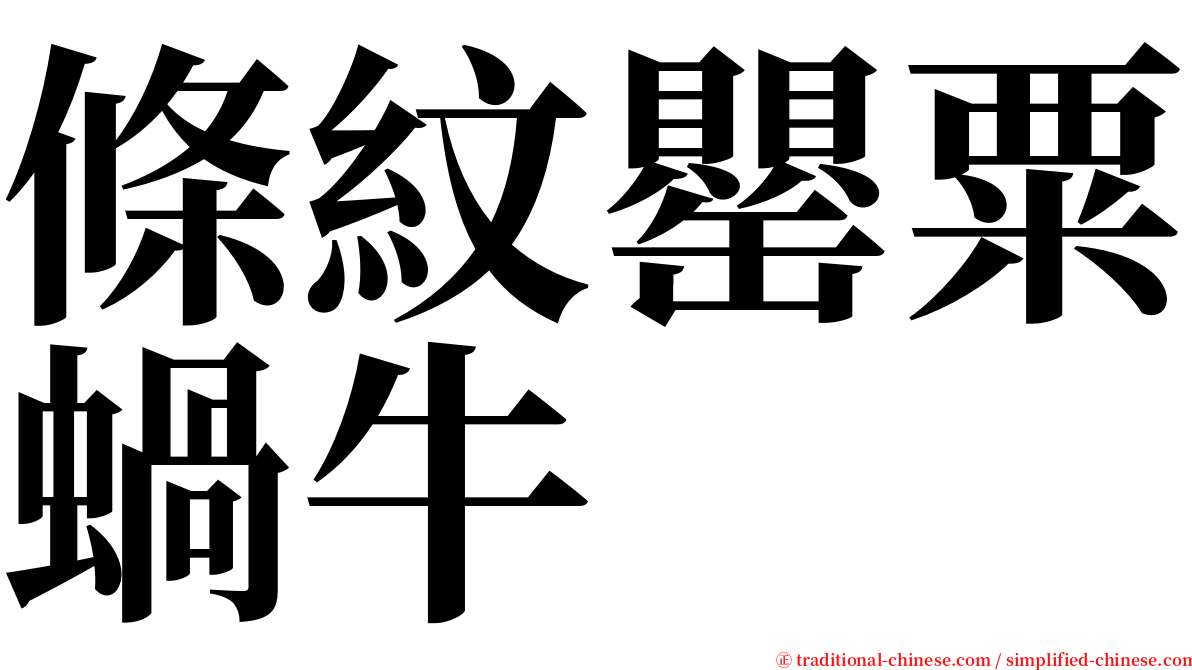 條紋罌粟蝸牛 serif font