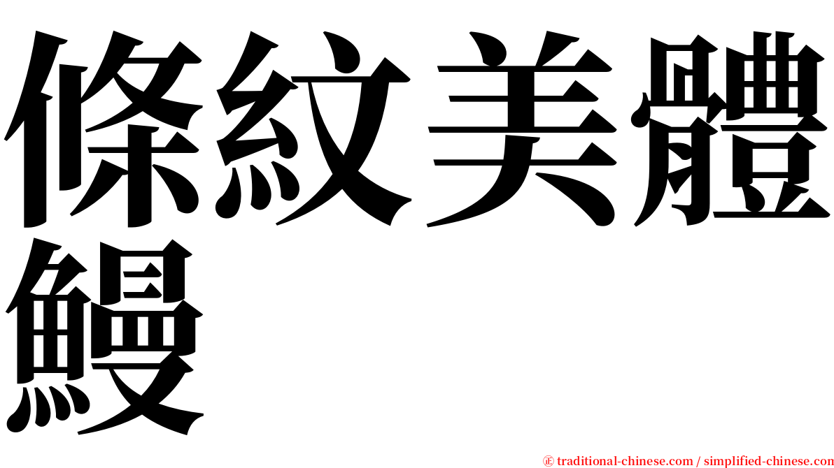 條紋美體鰻 serif font