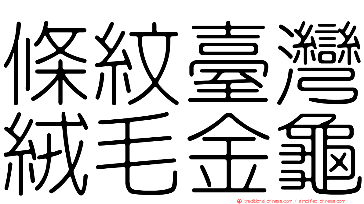 條紋臺灣絨毛金龜