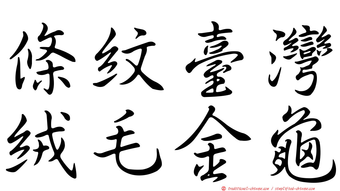 條紋臺灣絨毛金龜