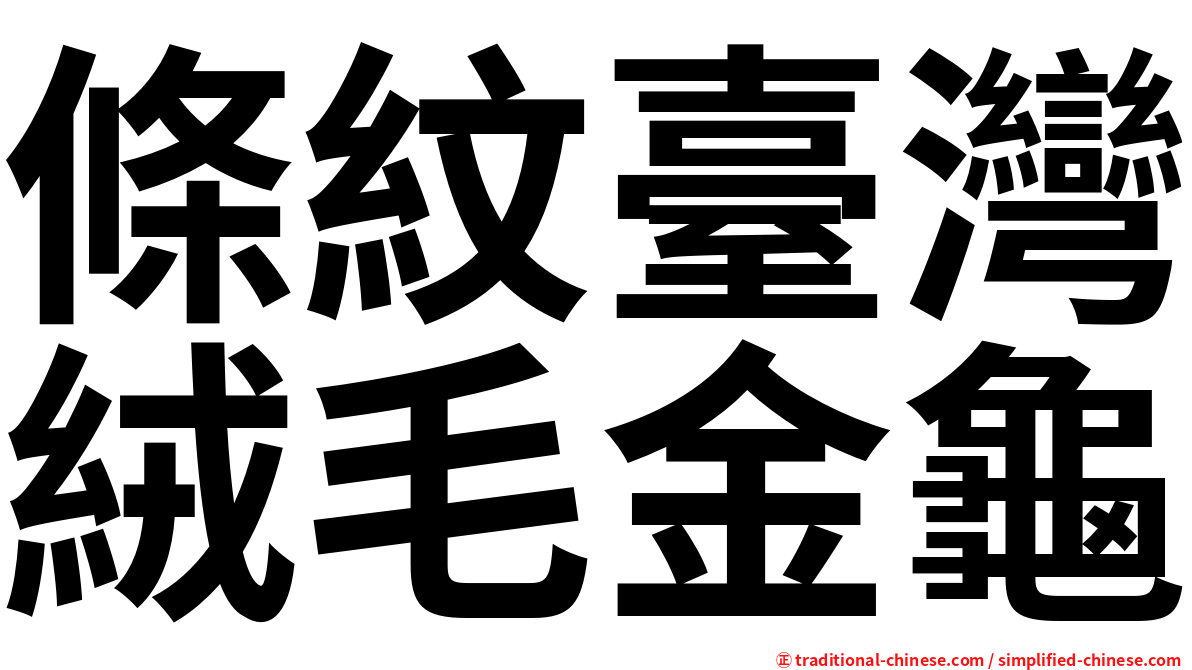 條紋臺灣絨毛金龜