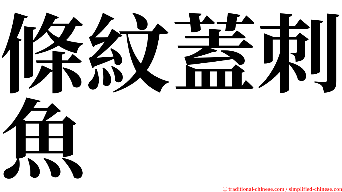 條紋蓋刺魚 serif font