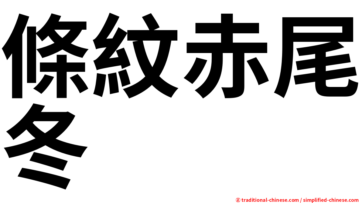 條紋赤尾冬