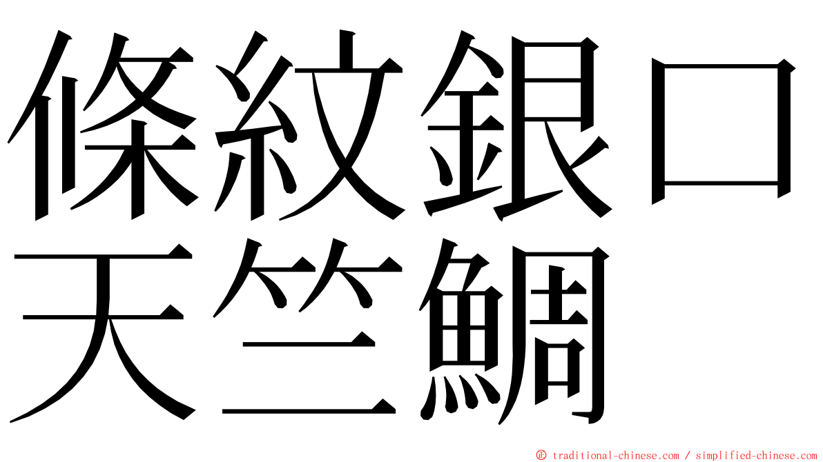 條紋銀口天竺鯛 ming font