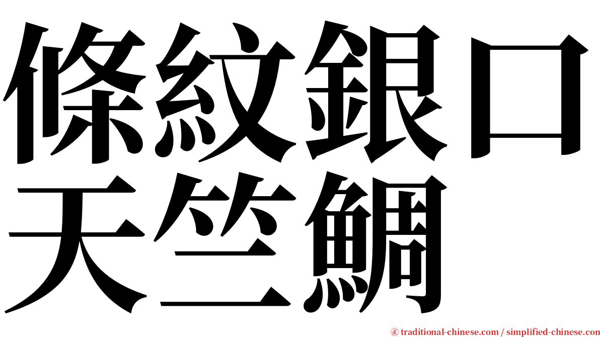 條紋銀口天竺鯛 serif font