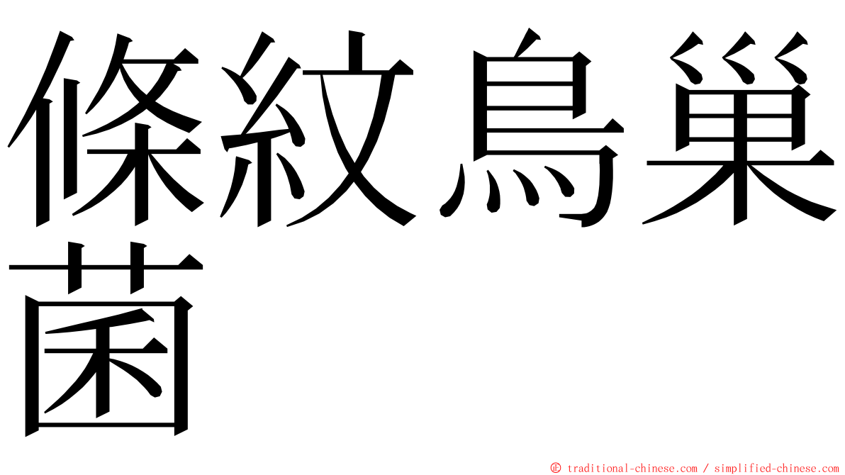 條紋鳥巢菌 ming font